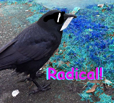 Rad Bird Ravels